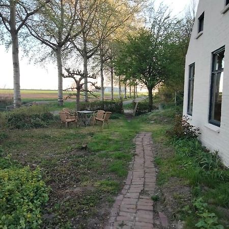 Vogelvrij Villa Vierhuizen ภายนอก รูปภาพ