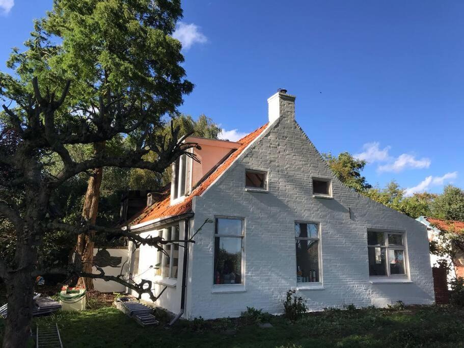 Vogelvrij Villa Vierhuizen ภายนอก รูปภาพ