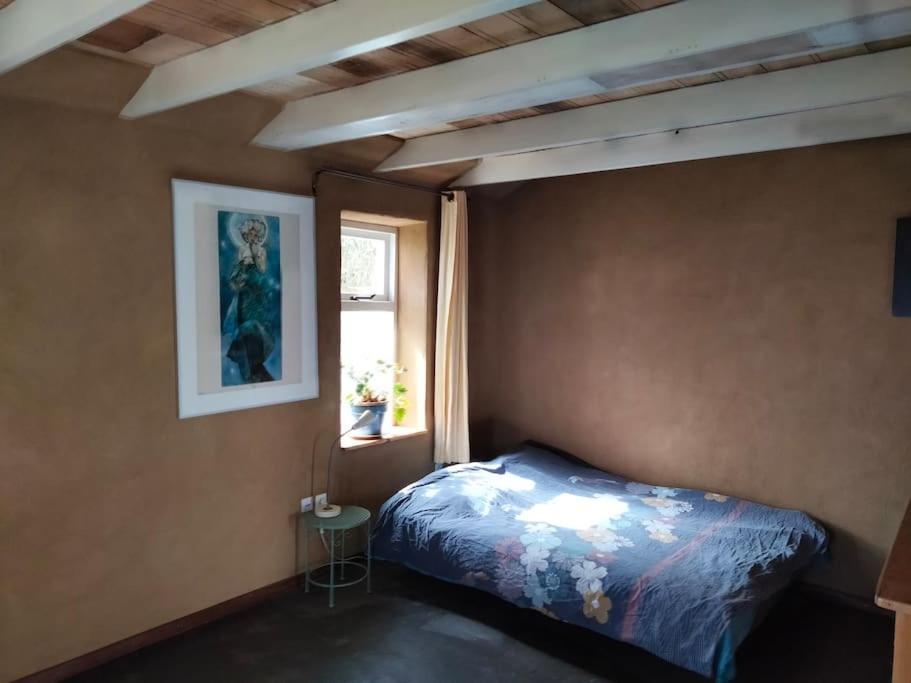 Vogelvrij Villa Vierhuizen ภายนอก รูปภาพ
