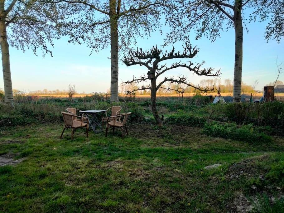 Vogelvrij Villa Vierhuizen ภายนอก รูปภาพ