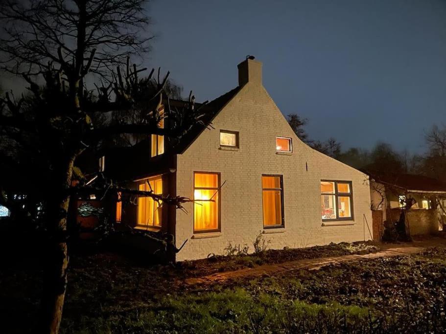 Vogelvrij Villa Vierhuizen ภายนอก รูปภาพ