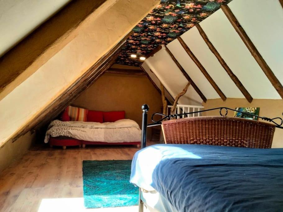 Vogelvrij Villa Vierhuizen ภายนอก รูปภาพ