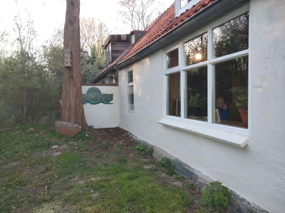 Vogelvrij Villa Vierhuizen ภายนอก รูปภาพ