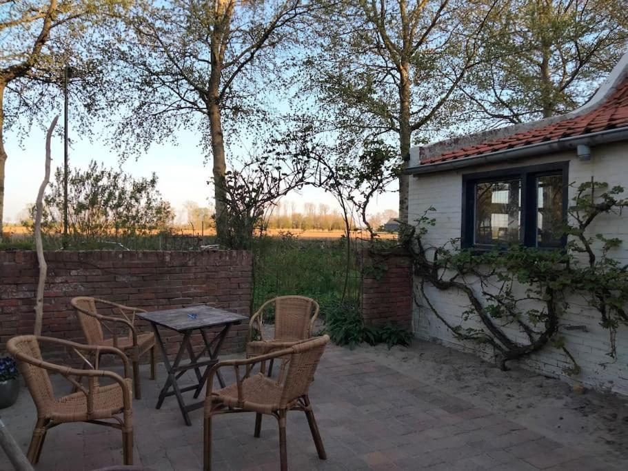 Vogelvrij Villa Vierhuizen ภายนอก รูปภาพ